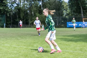Bild 346 - wBJ Hamburger SV - VfL Wolfsburg : Ergebnis: 5:1